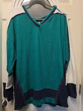 Free People Grewn and Navy Oversized V-Neck Pullover Sweater